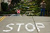 San Francisco: Lombard St. STOP