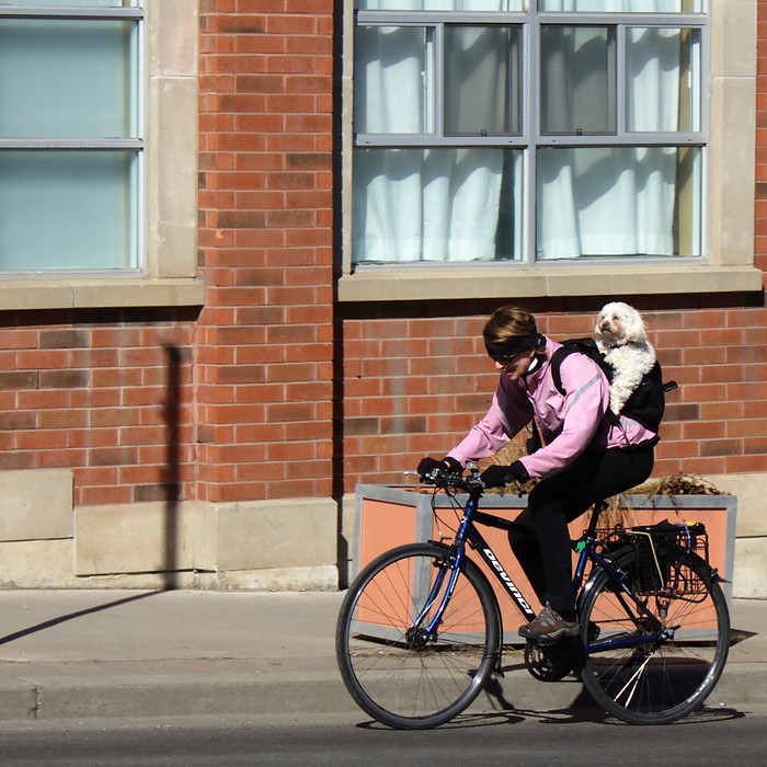 Pedal-Powered Puppy