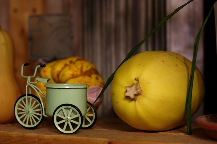 Tricycle and Squash