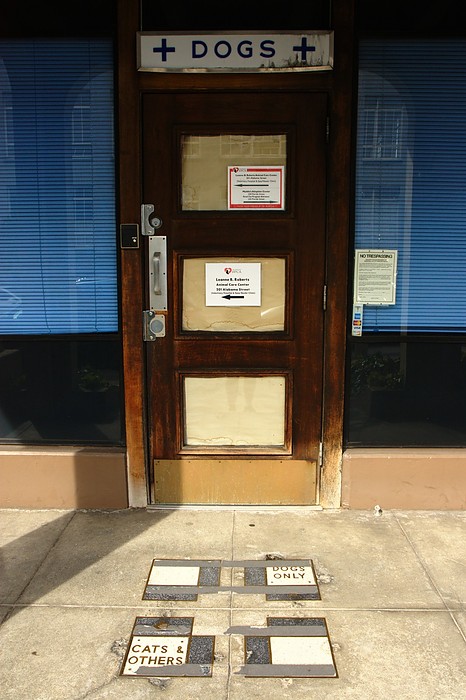 San Francisco SPCA: Dog Entrance